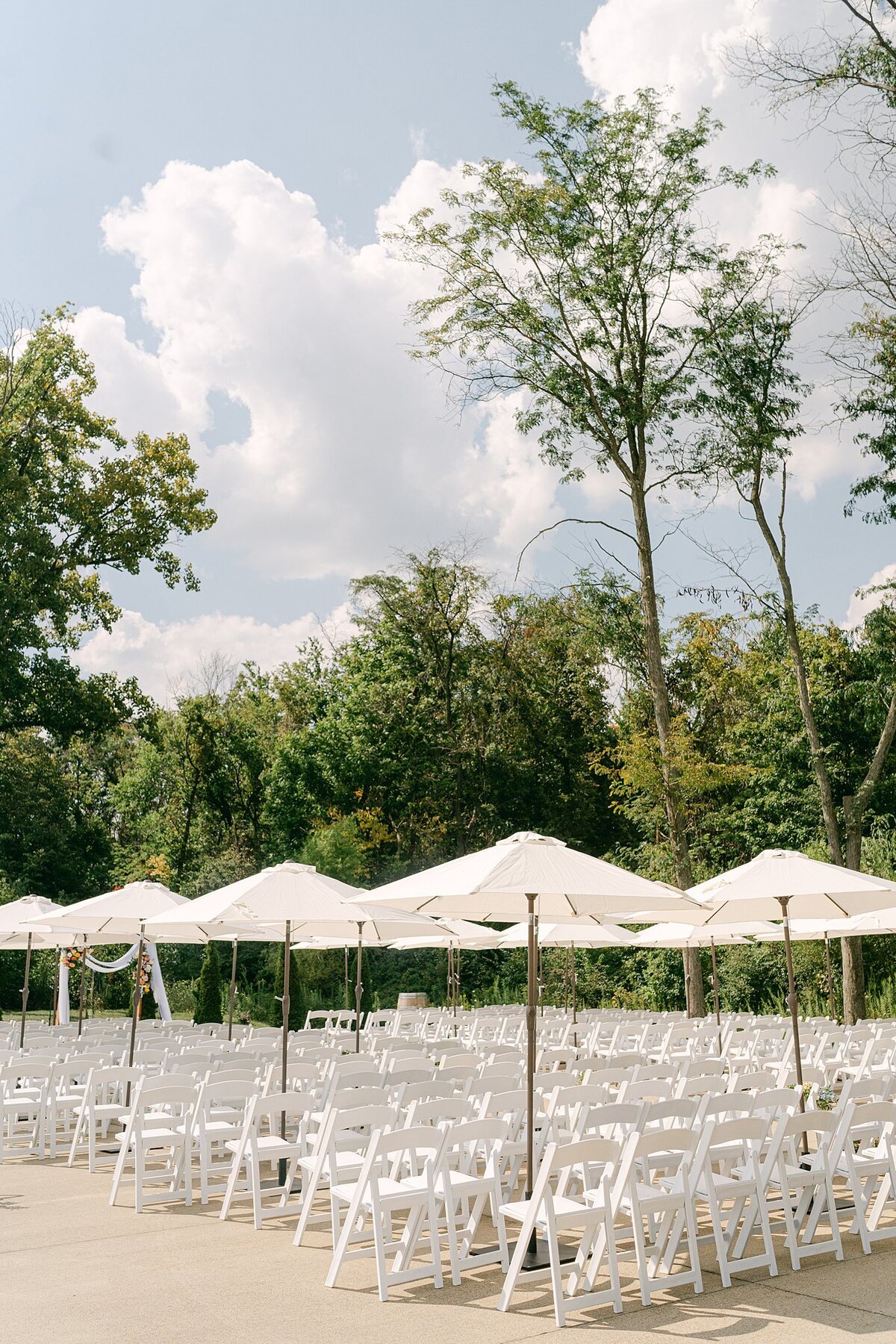 Daniel's Vineyard Wedding Alison Mae Photography_3049