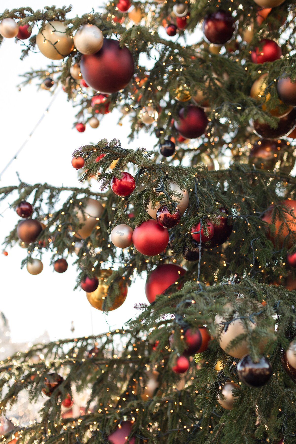 XMAS Fotoshooting Zuercher Weihnachtsmarkt Familienfotos Fotograf Weihnachtskarten Weihnachtsshooting Zuerich-7