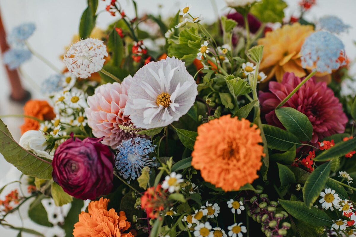 Hummingbird Nest Ranch Wedding | Orange Blossom Events 153