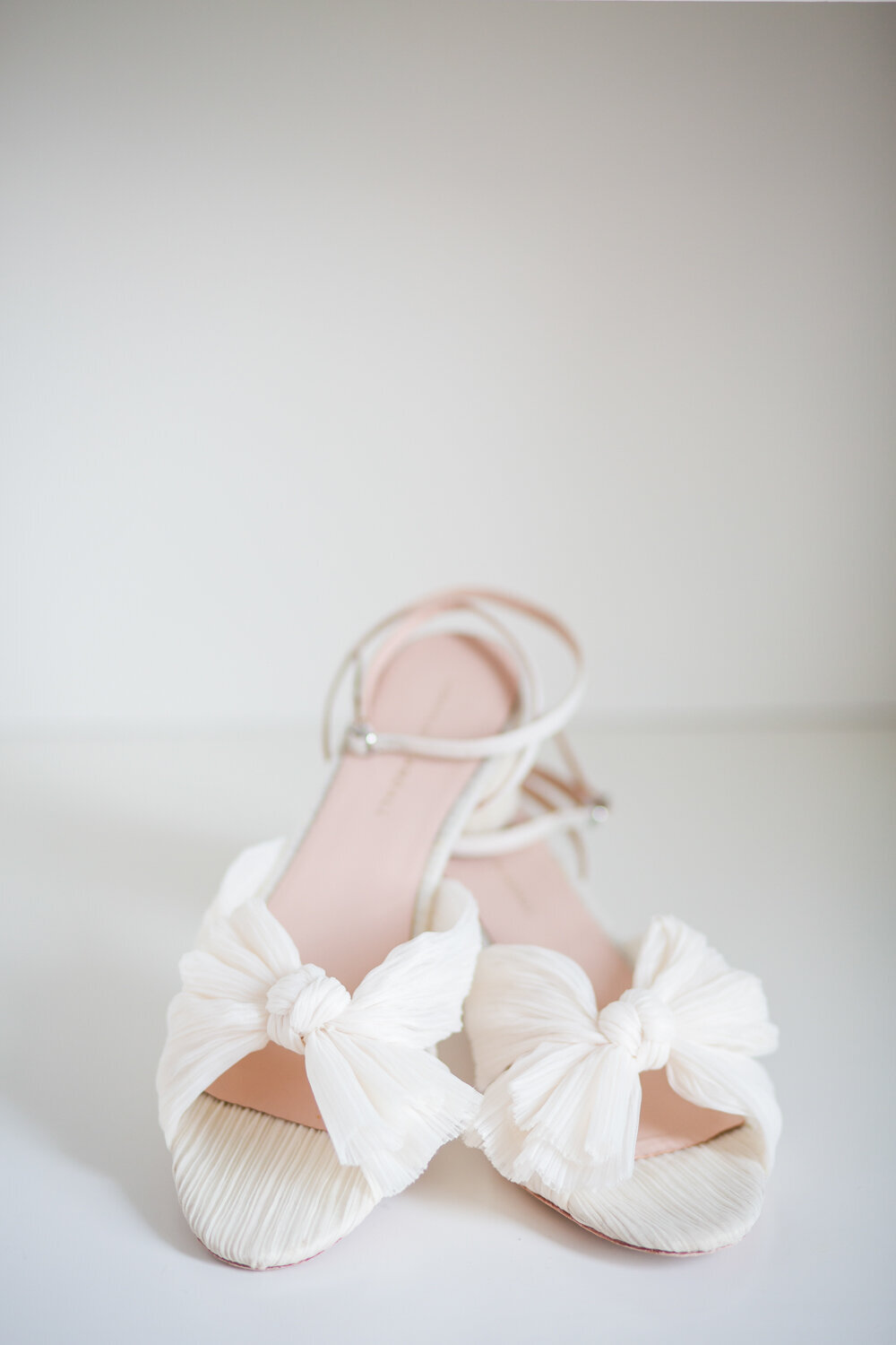 Chicago Wedding Photographer-TWA-Photographic-Artists-Capstone Occasions_Strickland_Augustyn_MS_JR-0020