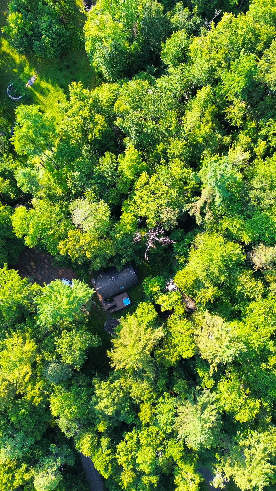 dji_fly_20240810_042750_193_1723461619677_photo_optimized