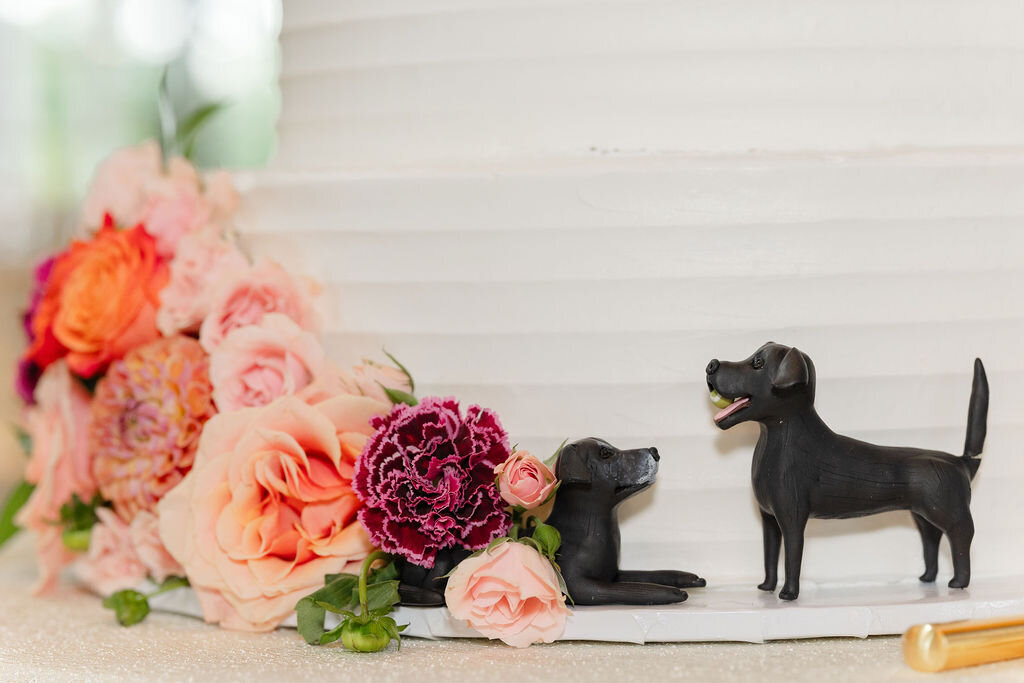 pups-on-cake