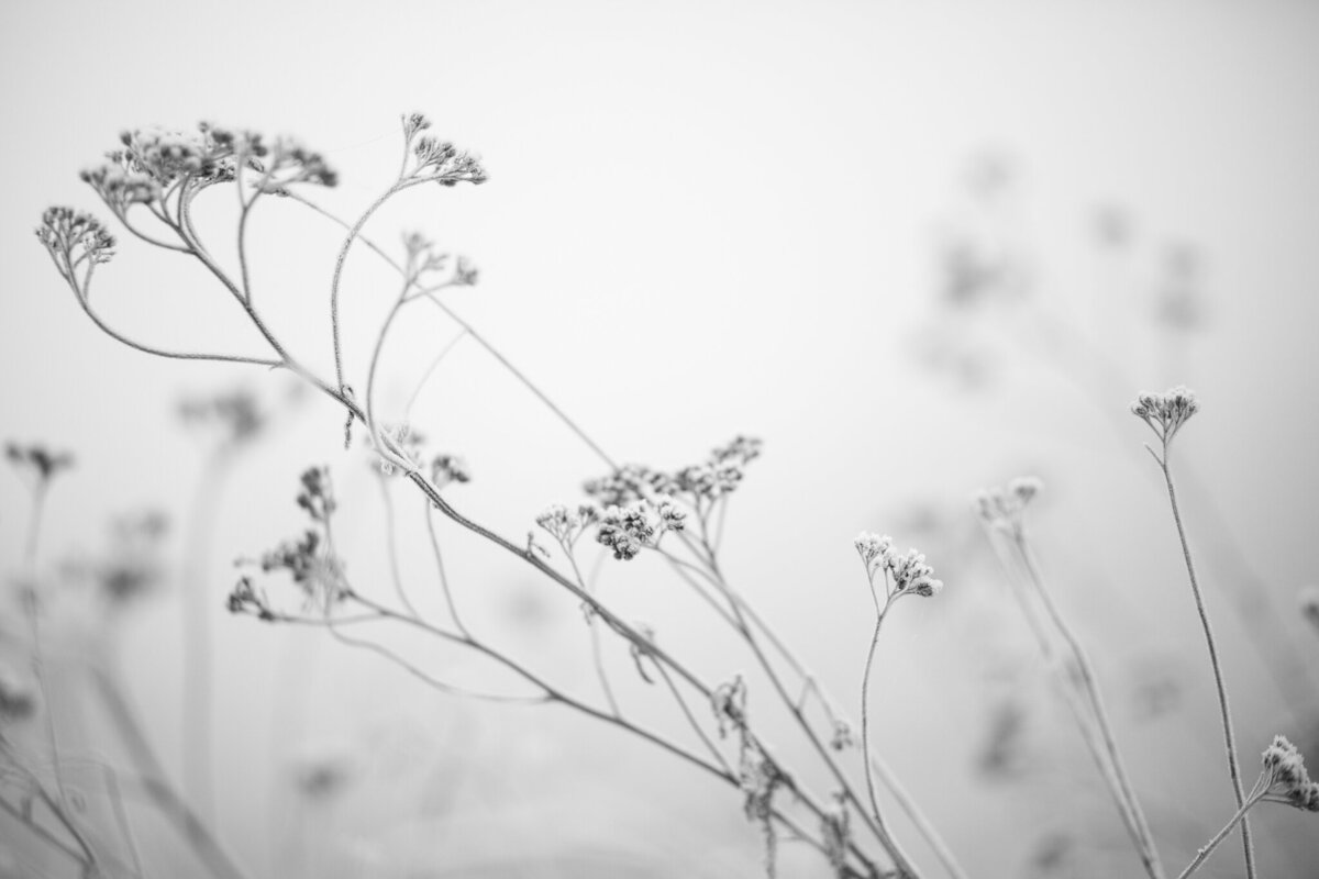 fine_art_photographer _041