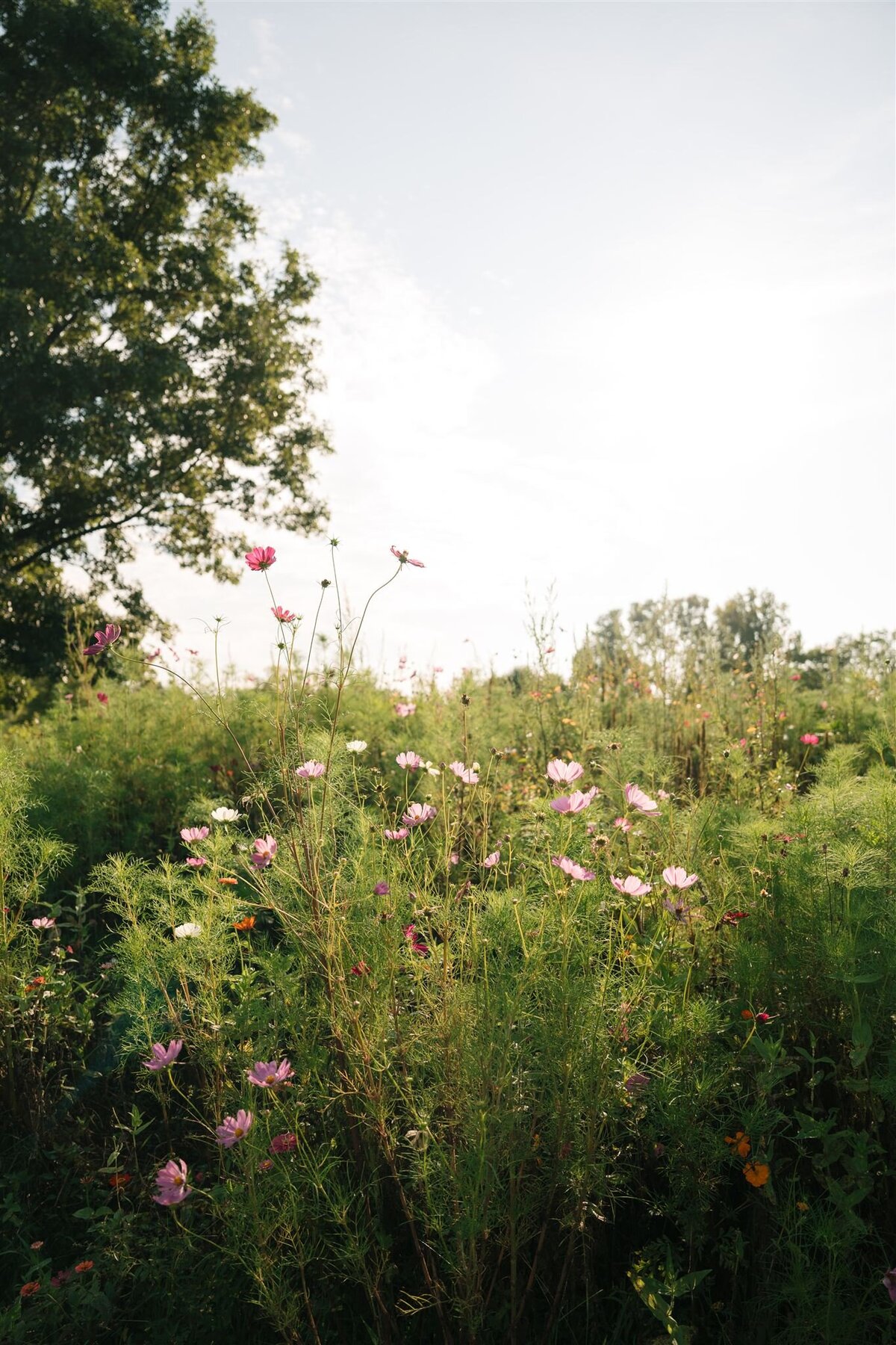 hanna-conner-long-hollow-gardens-wedding-photos-previews-nicole-lenia-kiser-imagery-68_websize