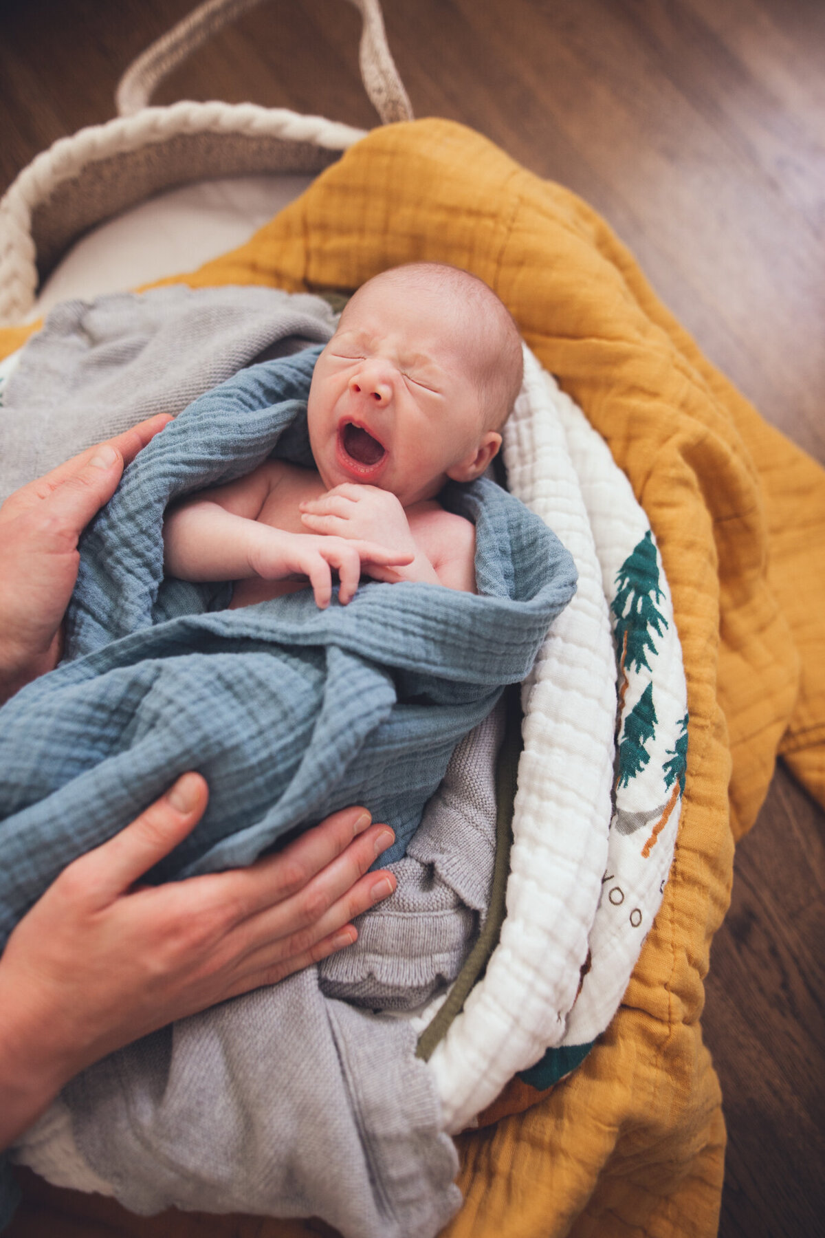Lindsay-wilson-photography-in-home-newborn-50