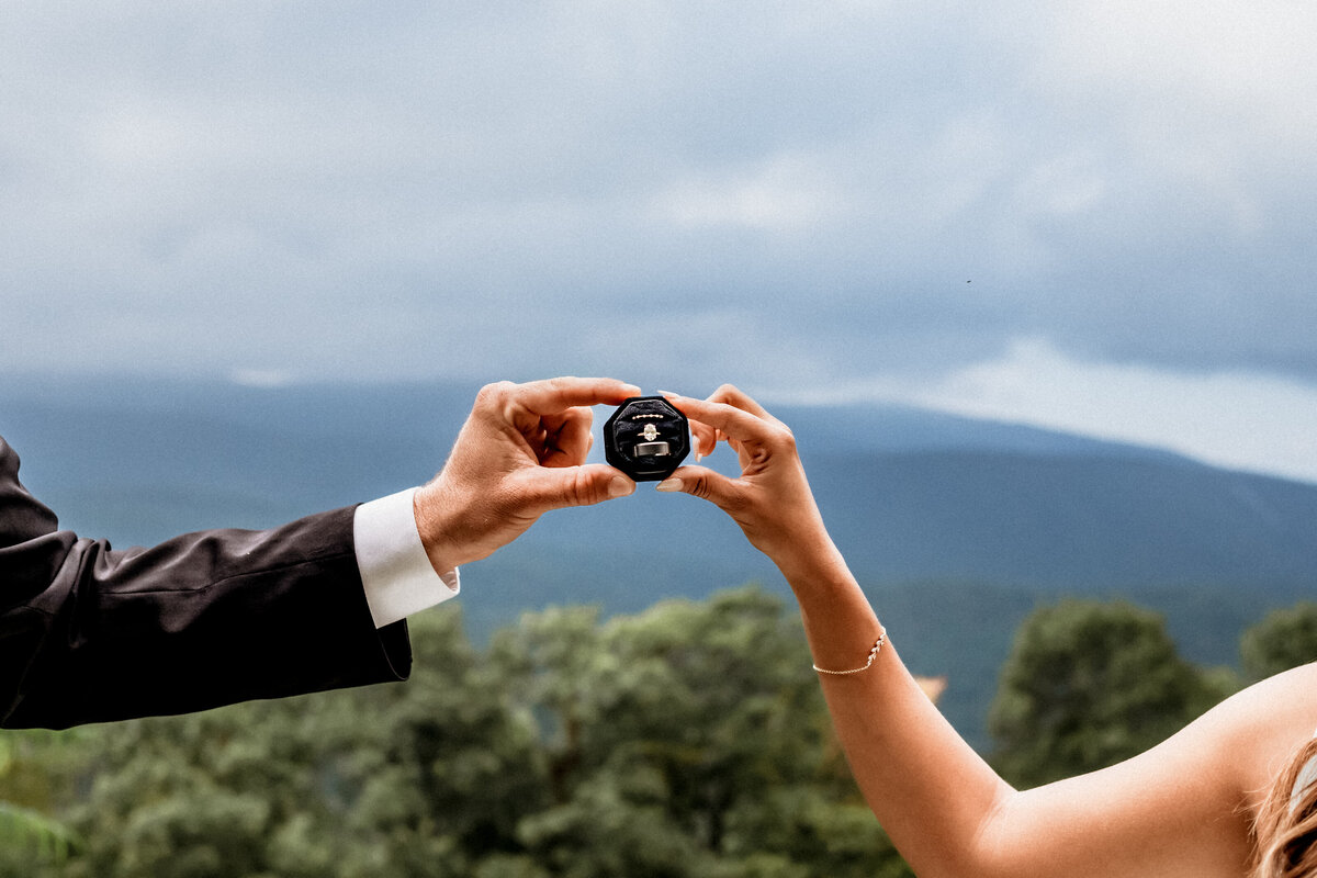 Salem VA wedding and Elopement photographer earthy and moody Charleigh Roberts Photography artsy earthy moody virginia roanoke va east coast north carolina nc pearl veil babys breath kiss happy blue ridge mountains parkway