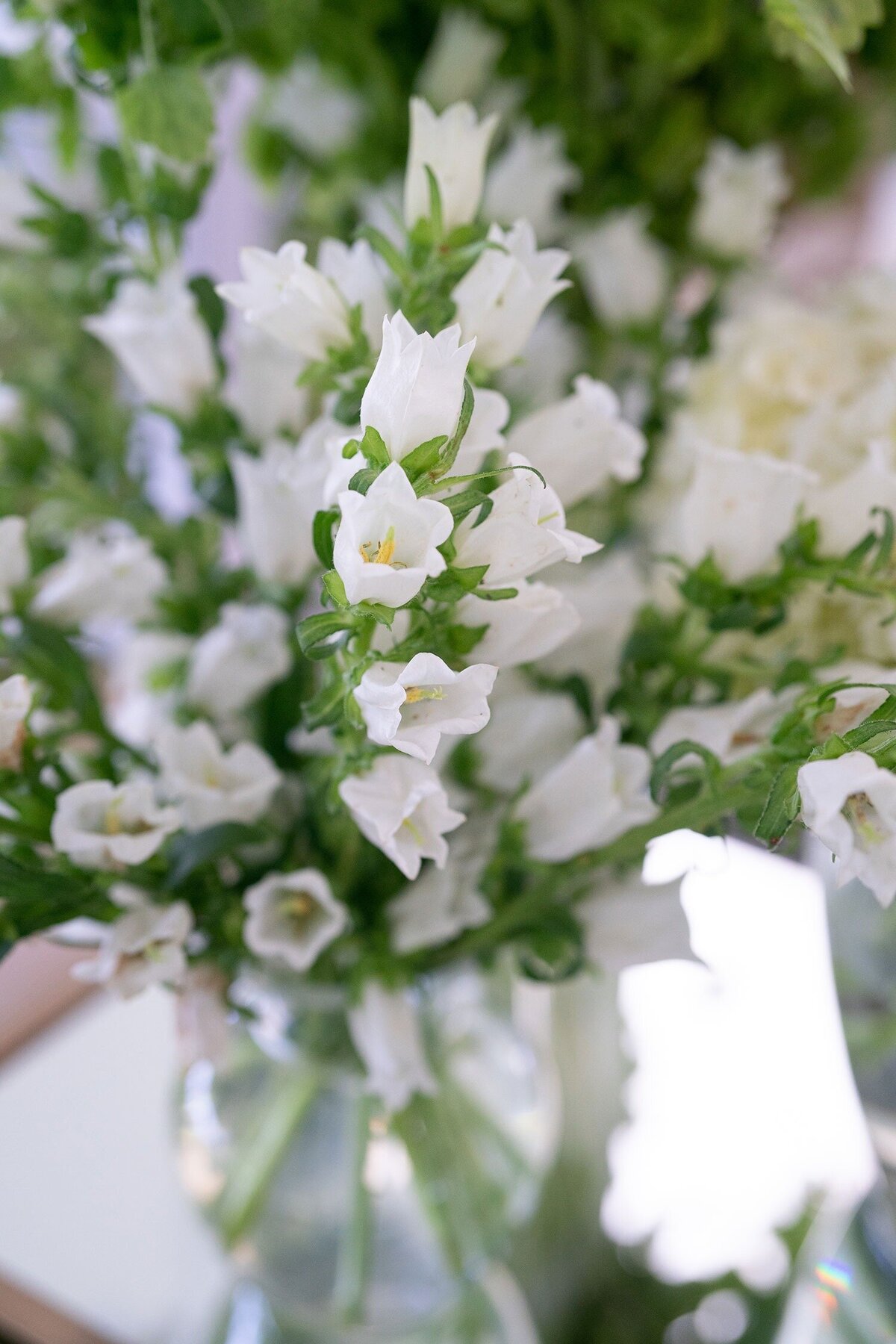 Private-Estate-Bermuda-Wedding-Dasfete-17