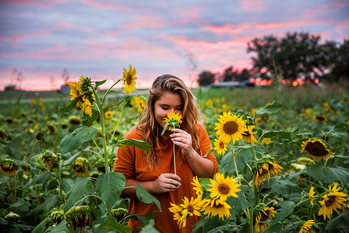 sunflower senior photos springfield mo