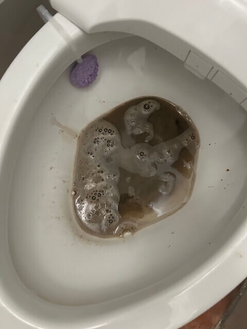 toilet (1)
