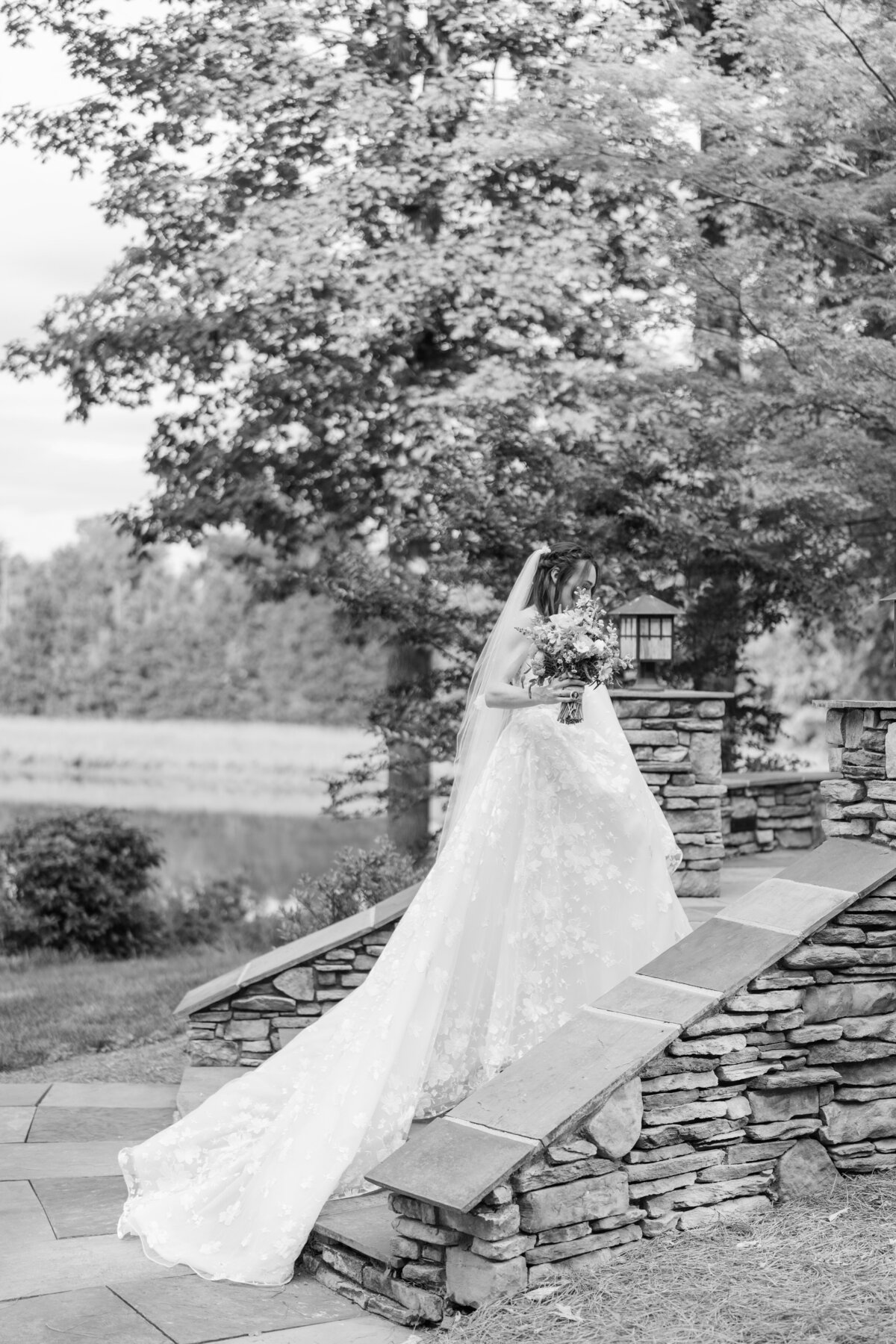 25033_3706_bw