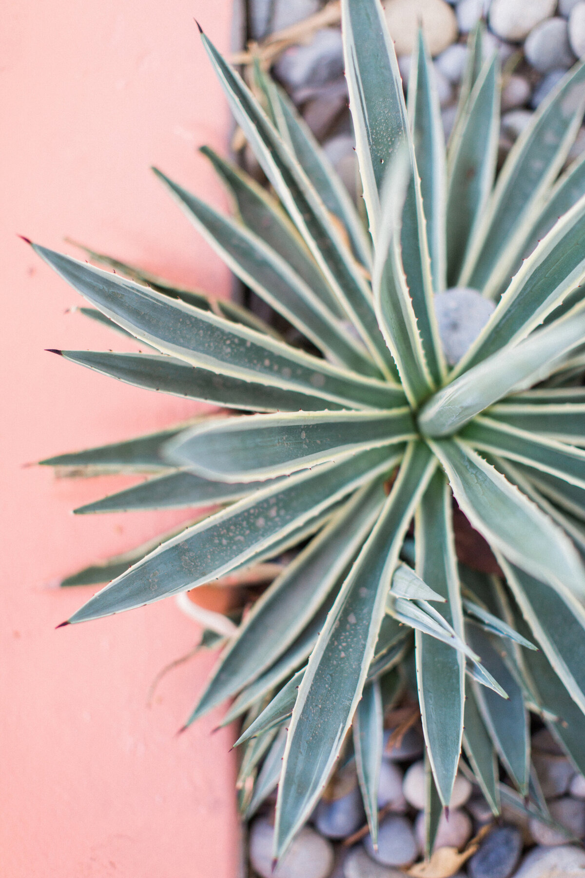 E + N Welcome Party0050