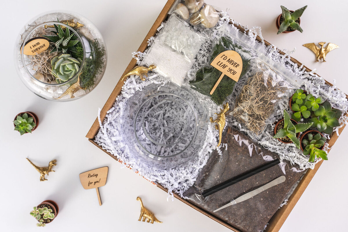 Unique & Exciting Virtual Terrarium Succulent Bar