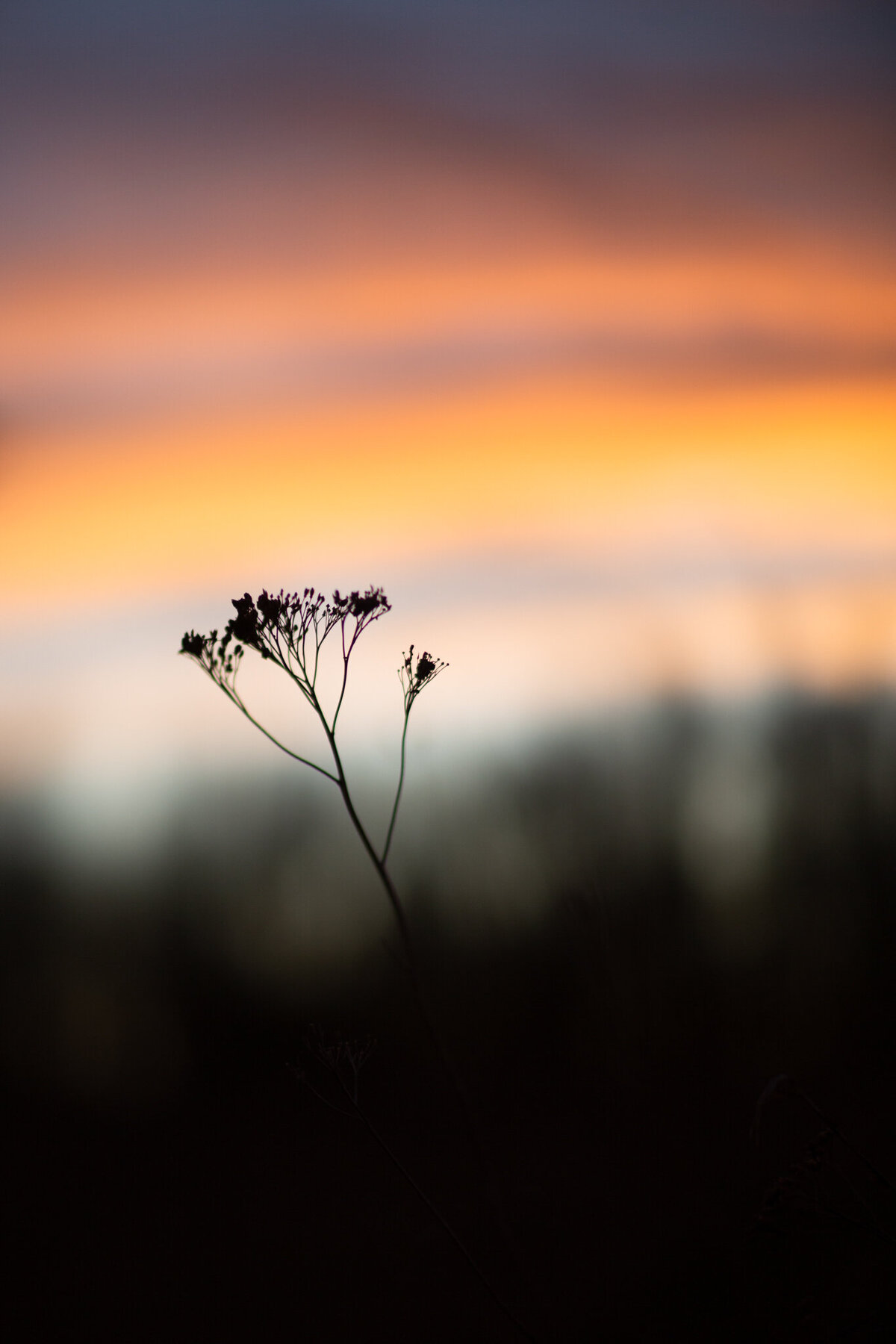 fine_art_photographer _052