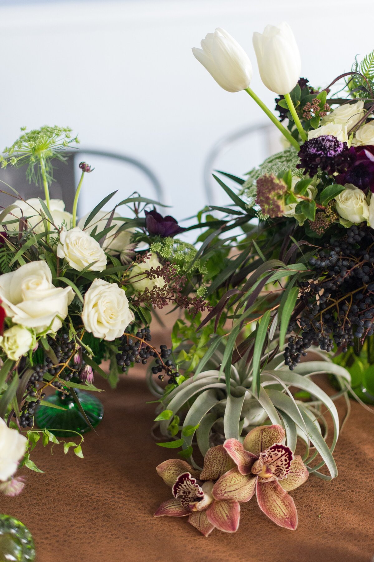 leila_brewster_photography-32