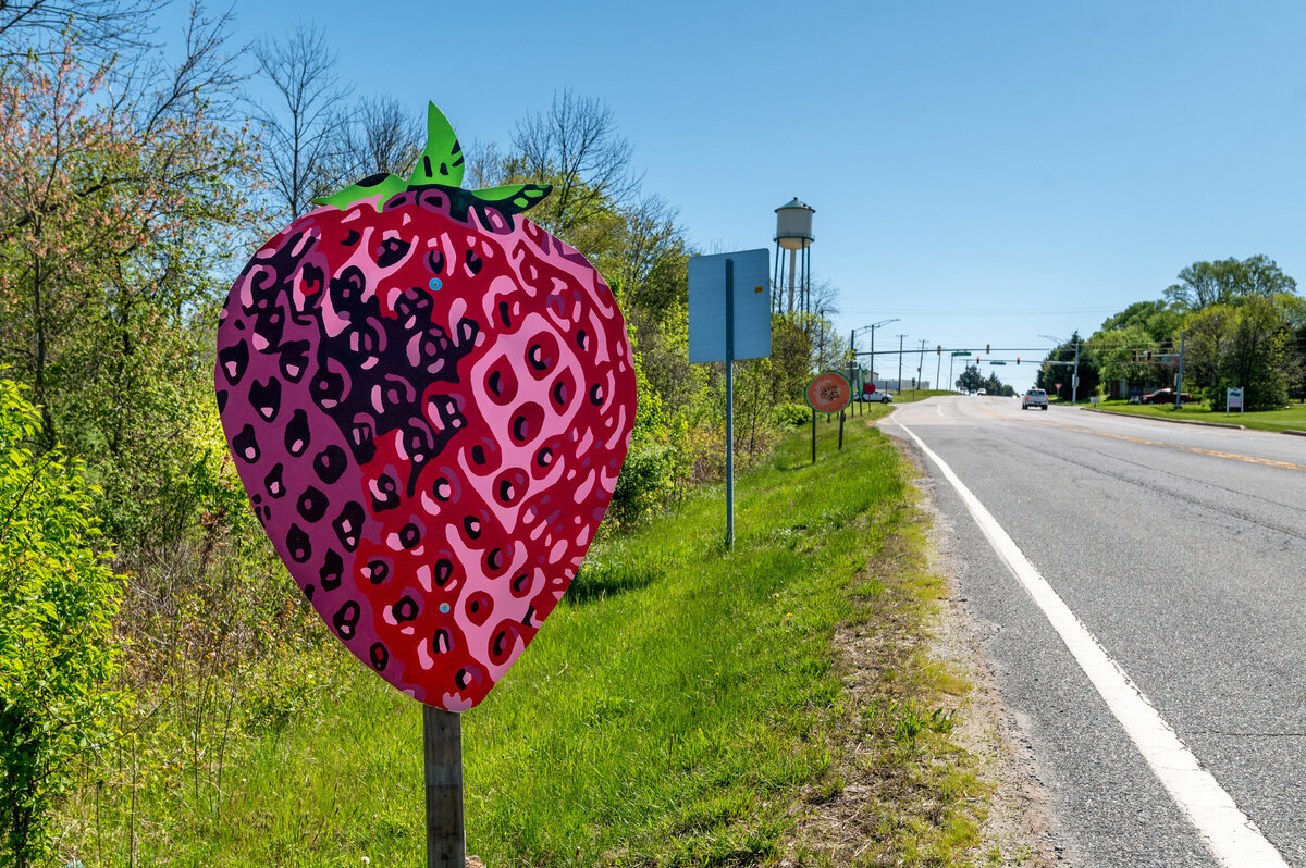2021-05-07 fruit-veggie signs 7904