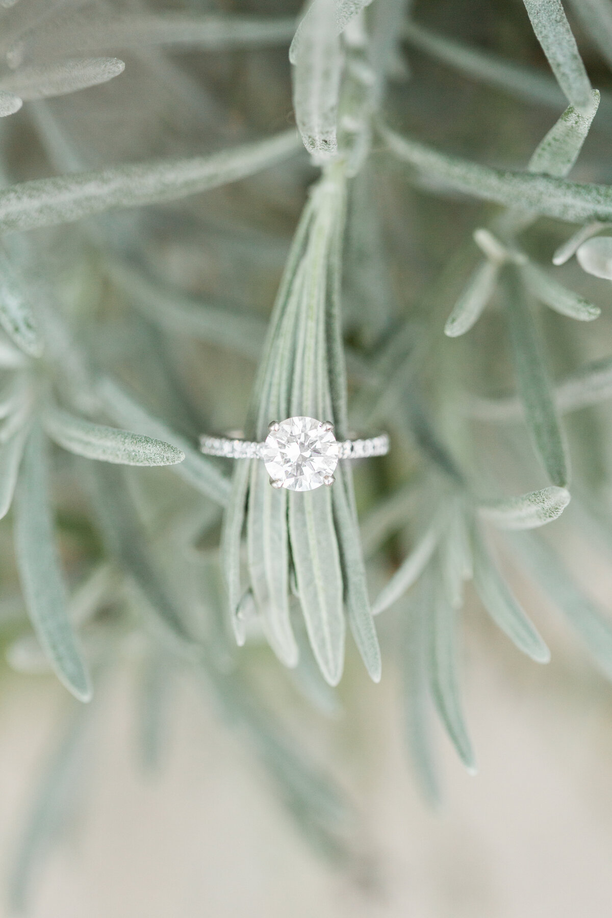 diamond ring close up detail photo