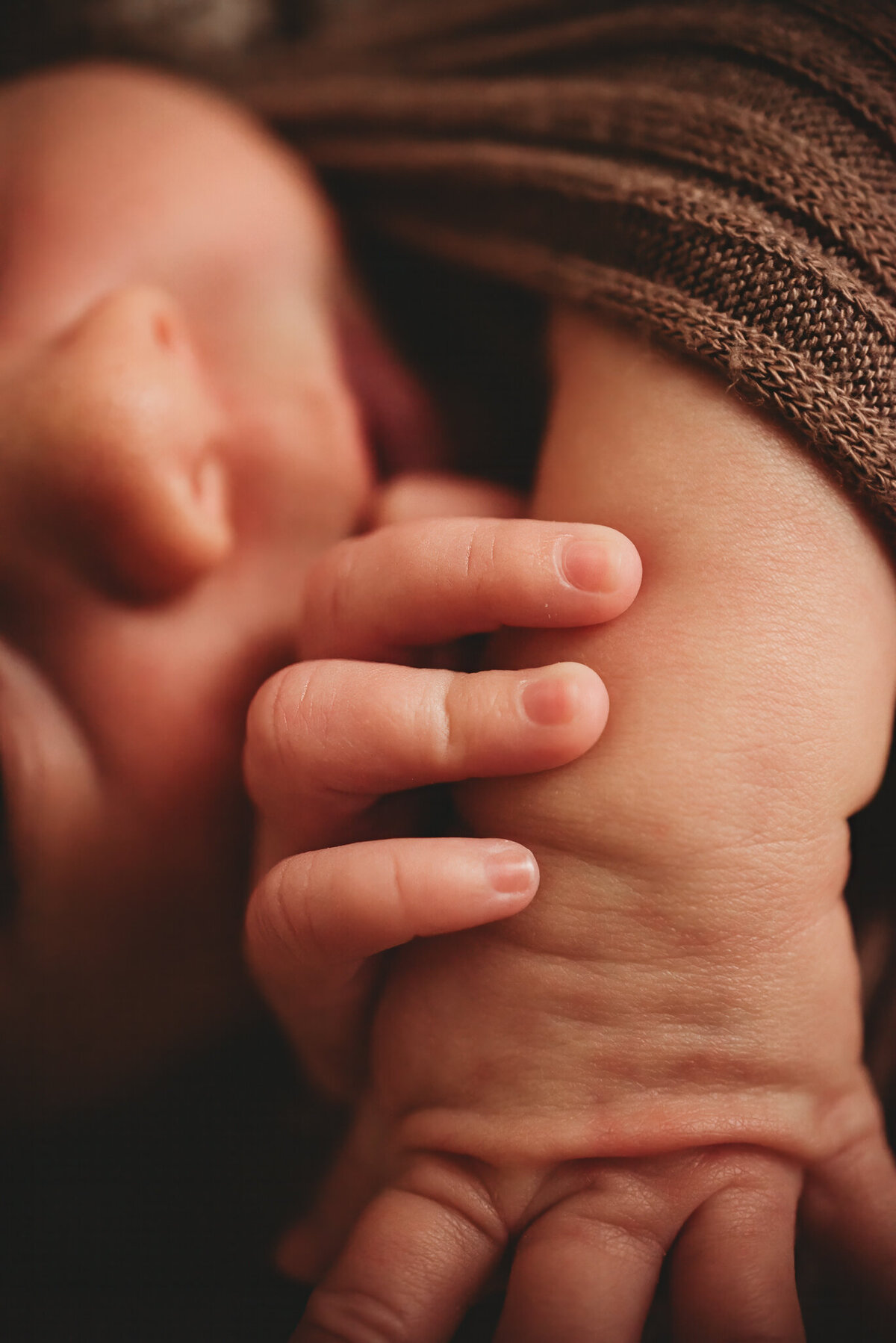 roemmich-bismarck-studio-newborn-3