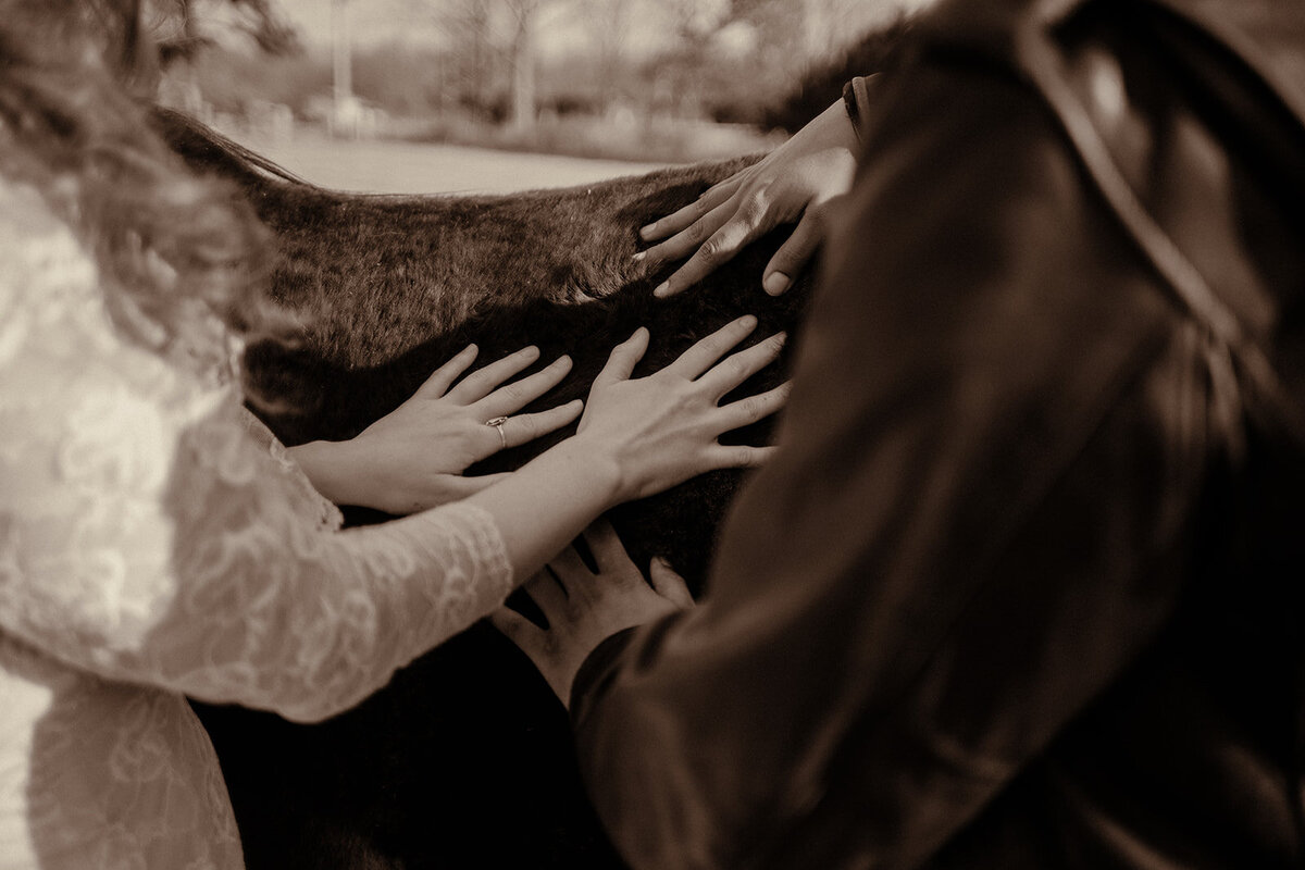 Interracial couple hold onto one another in the fields of a Tennessee farm for an intimate couples session.