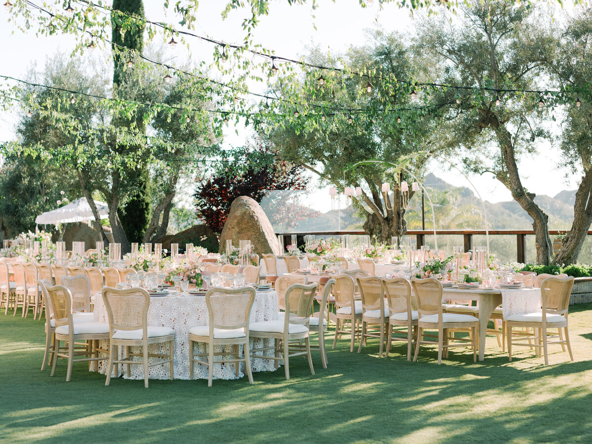 sophieeptonphotographymeganeliezerwed-77