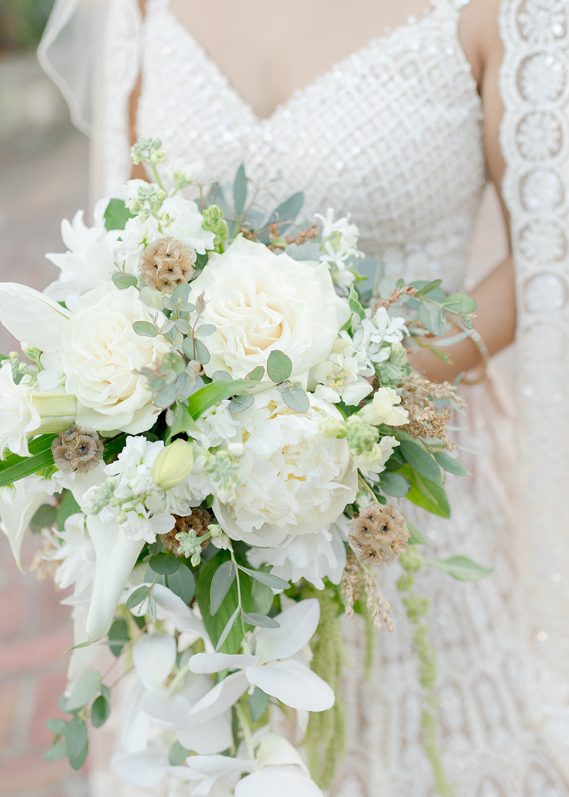 zara-and-david-highlights-12