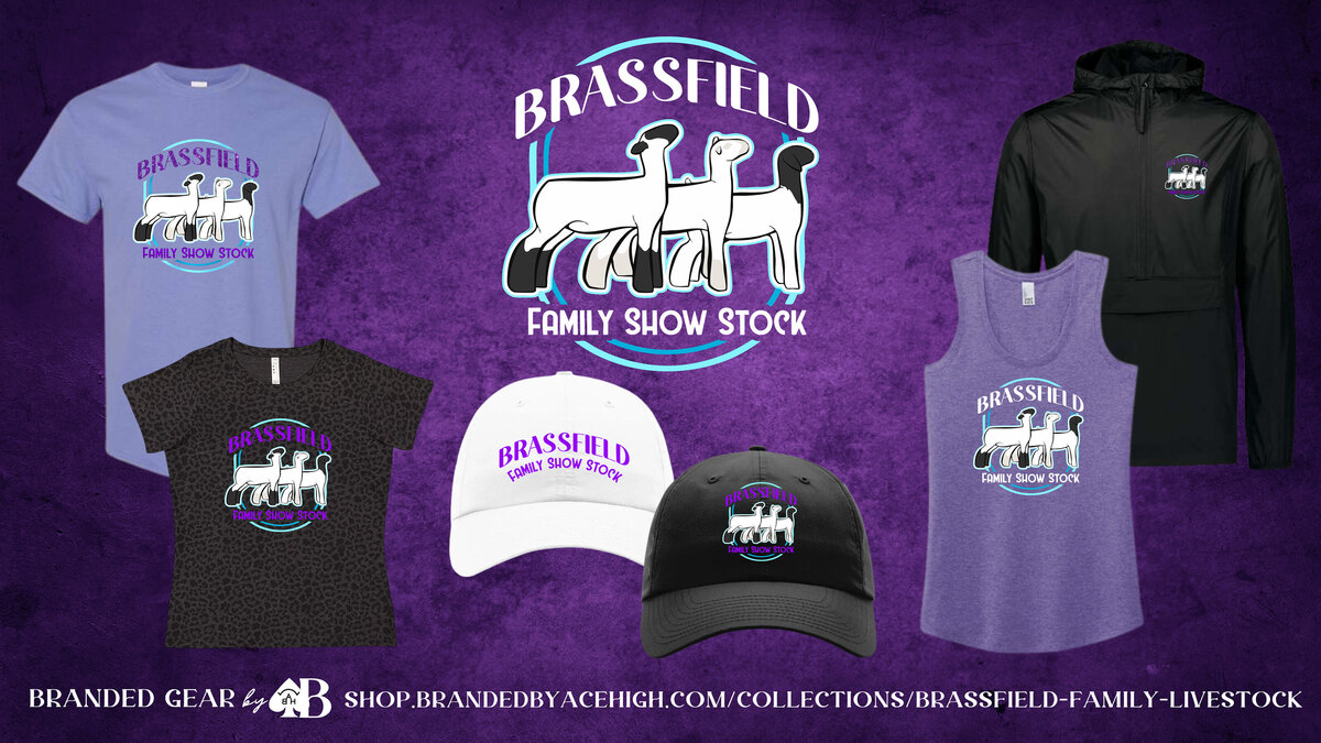 build-a-store-branding-portfolio1