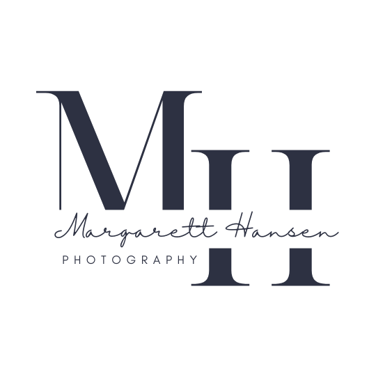 Alt Logo 4