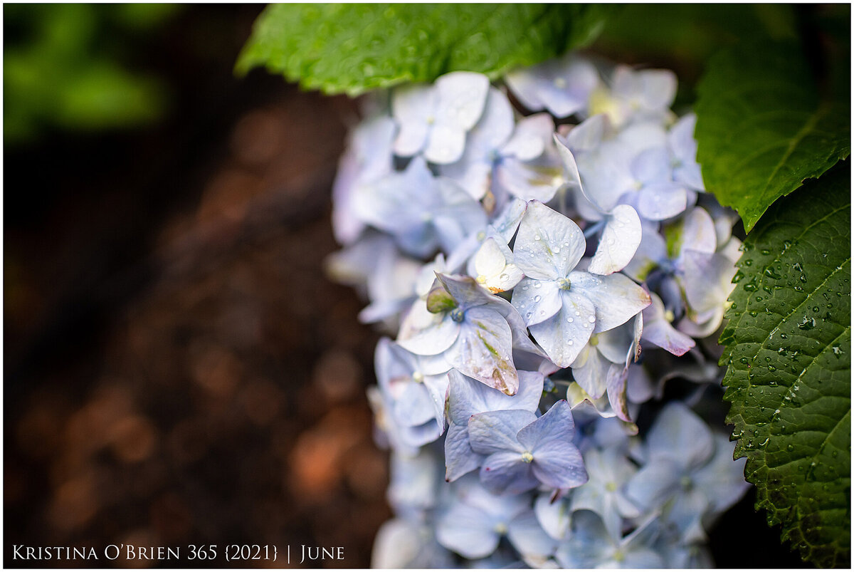 maine-lifestyle-photographer-0181