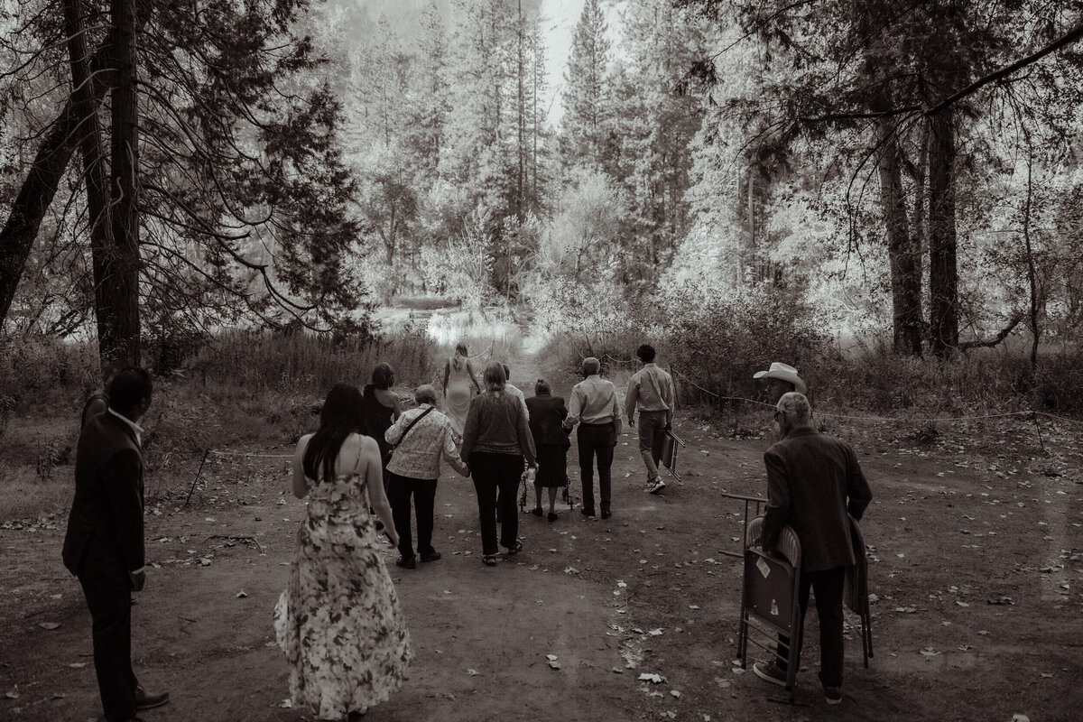 yosemite-micro-wedding