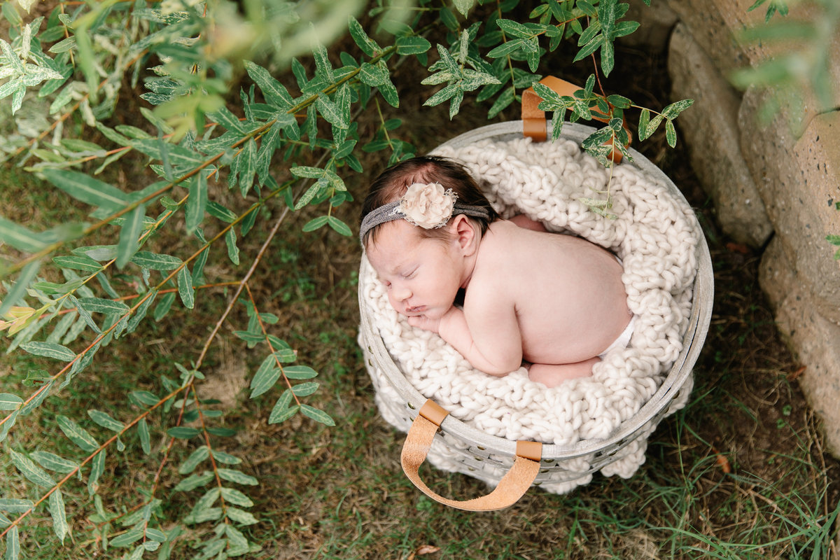 raleigh newborn photographer-lena-9033