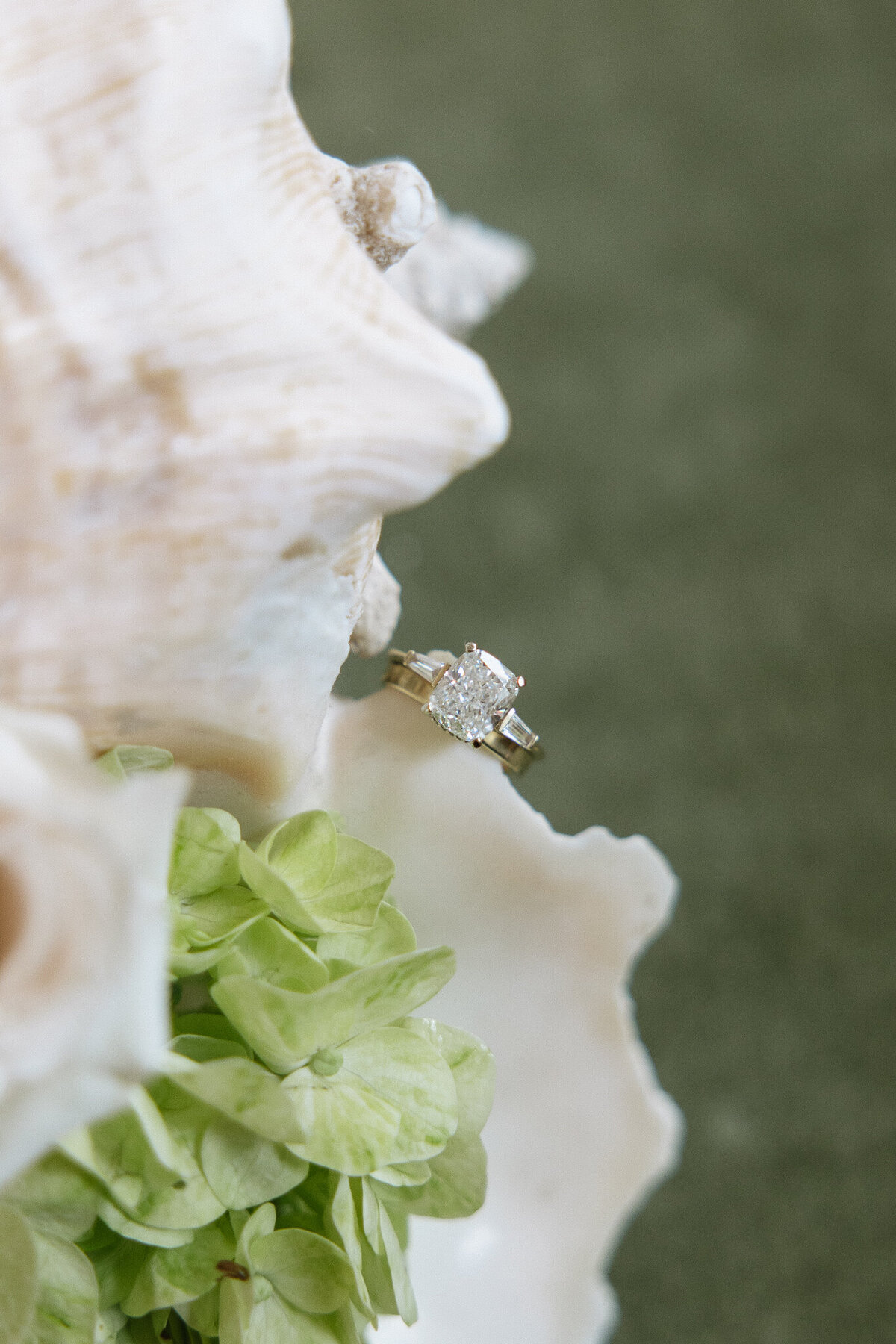 RevelWoodsPhoto-JensenPreviews-3648