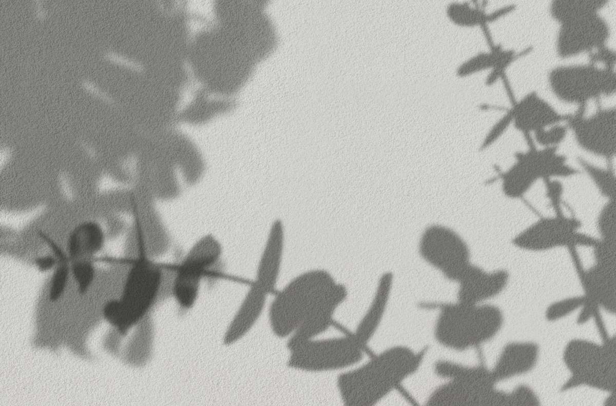 foliage shadow
