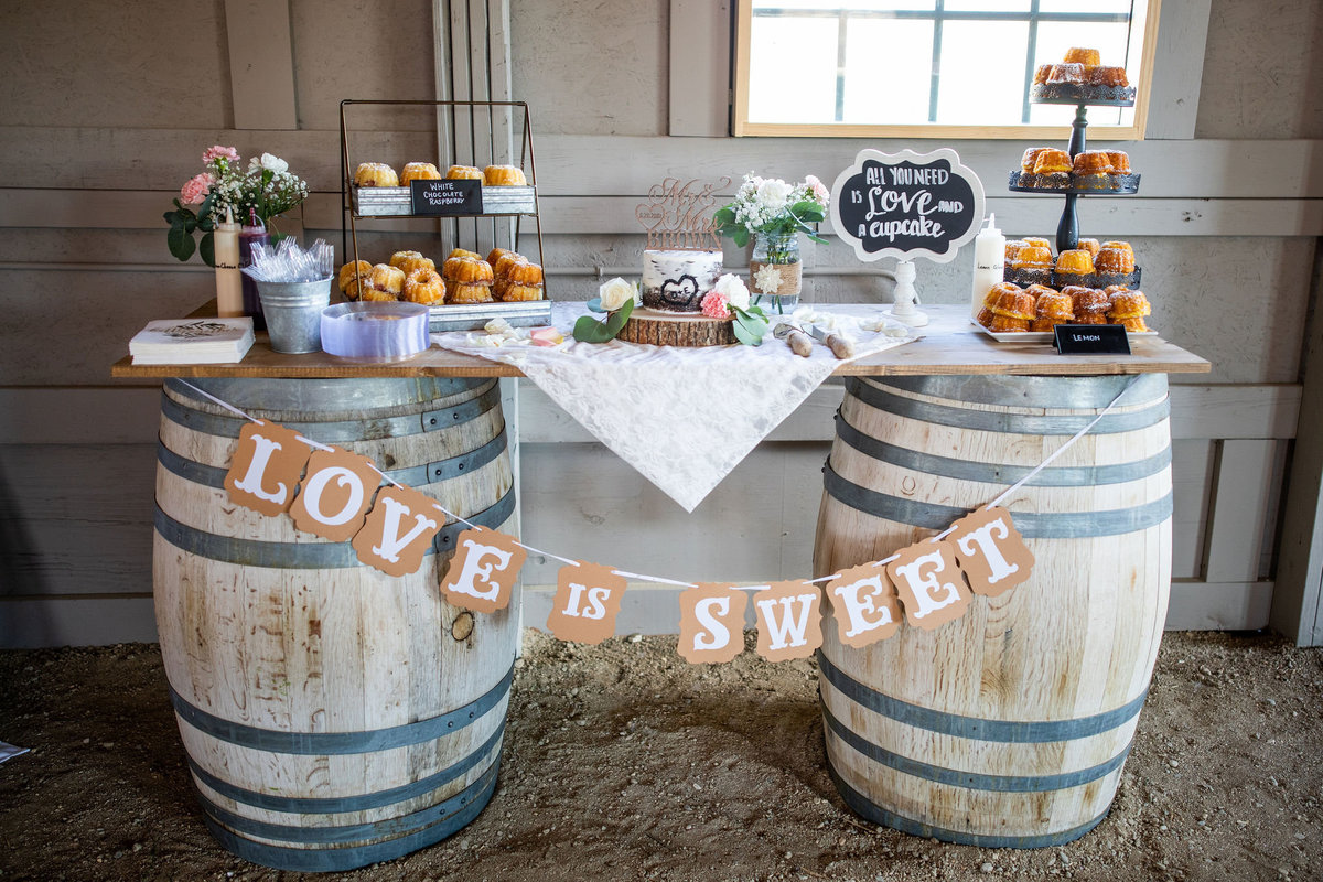 Strawberry-Creek-Ranch-Wedding-Ashley-McKenzie-Photography-Summer-love-on-the-ranch-Reception-Room