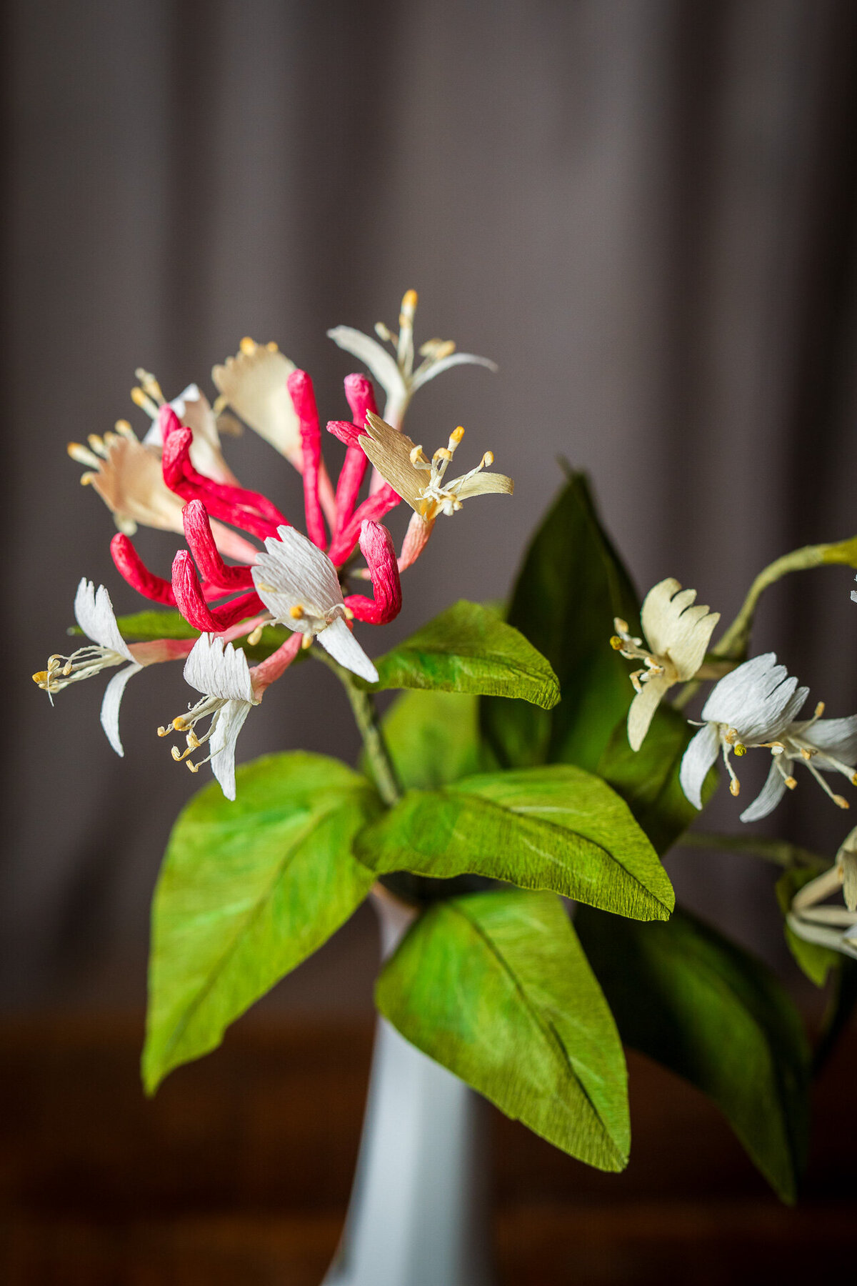 Paper honeysuckle