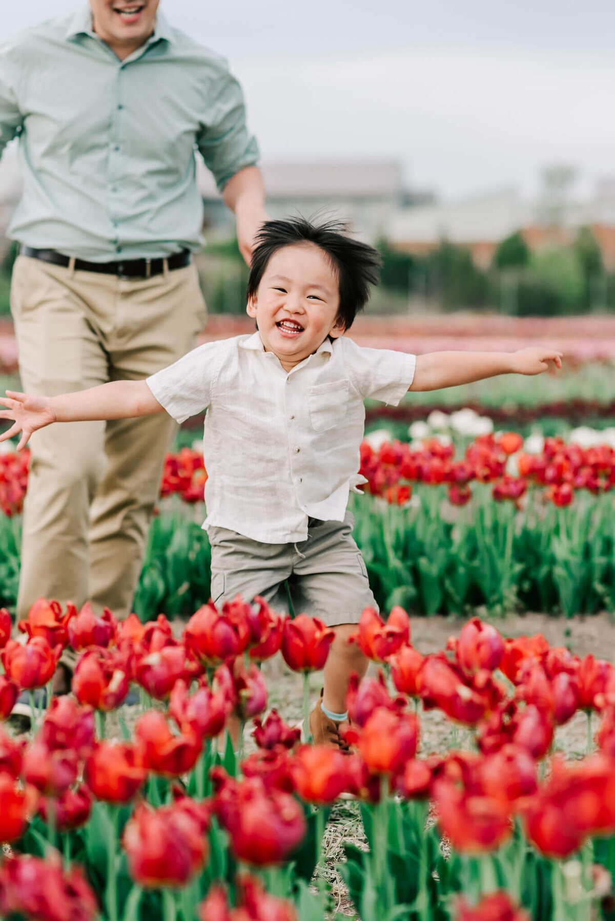 A toddler jumping for joy in a sea of red tulips, taken by a northern virginia family photographer
