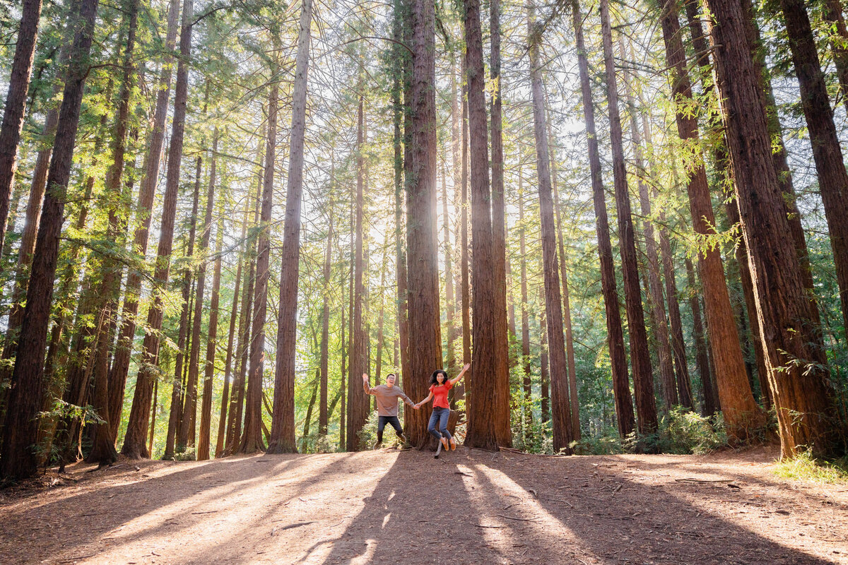 Oakland East Bay Redwoods Engagement Session