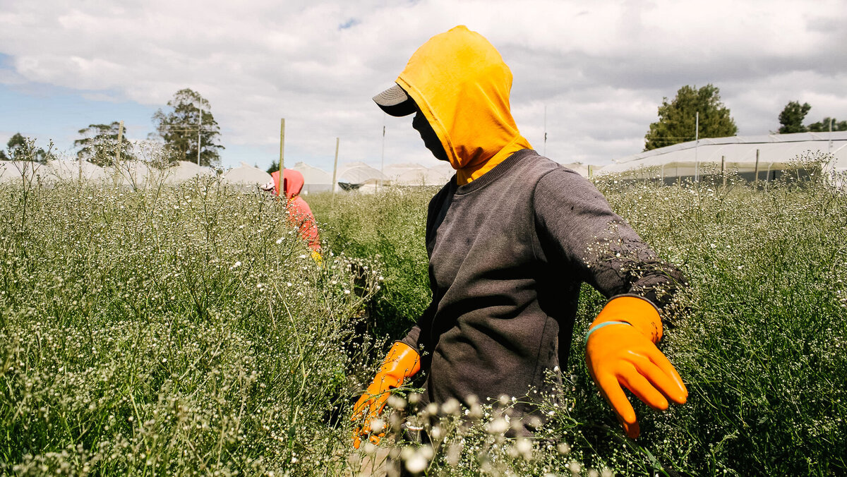 Farm-Exports-Lifestyle-25