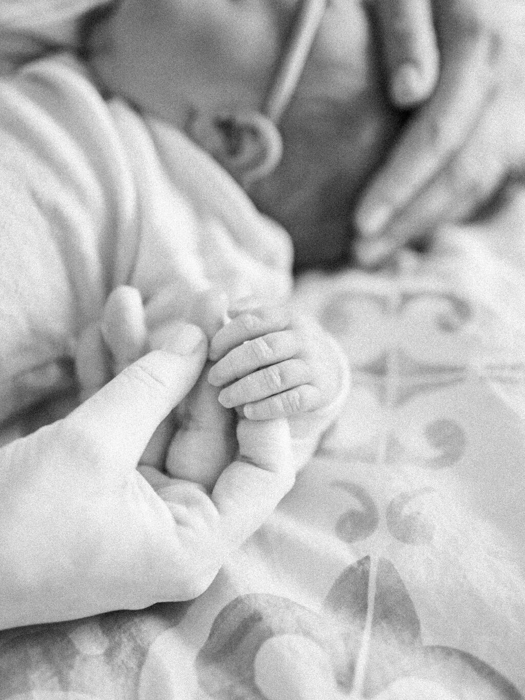 FischerNewborn-164