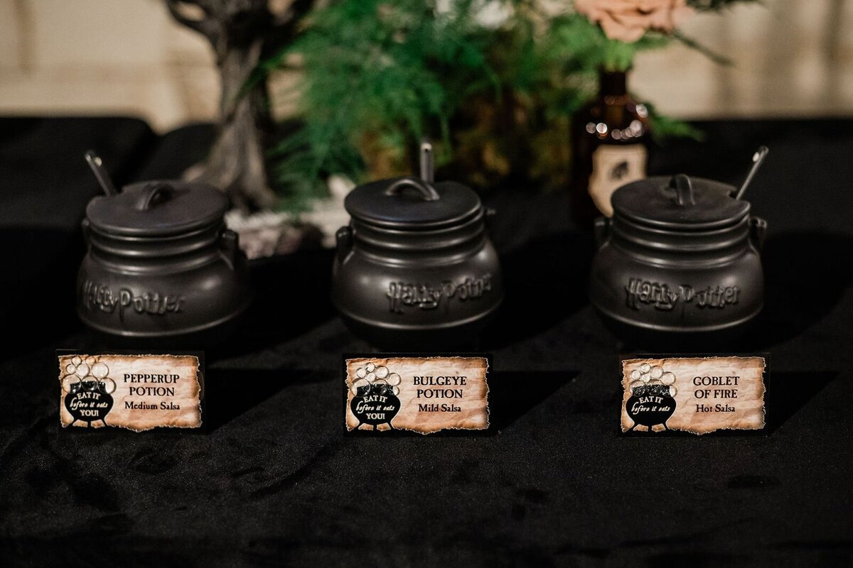 A Harry Potter Themed 10th Birthday at Sunset Castle in Las Vegas - 8