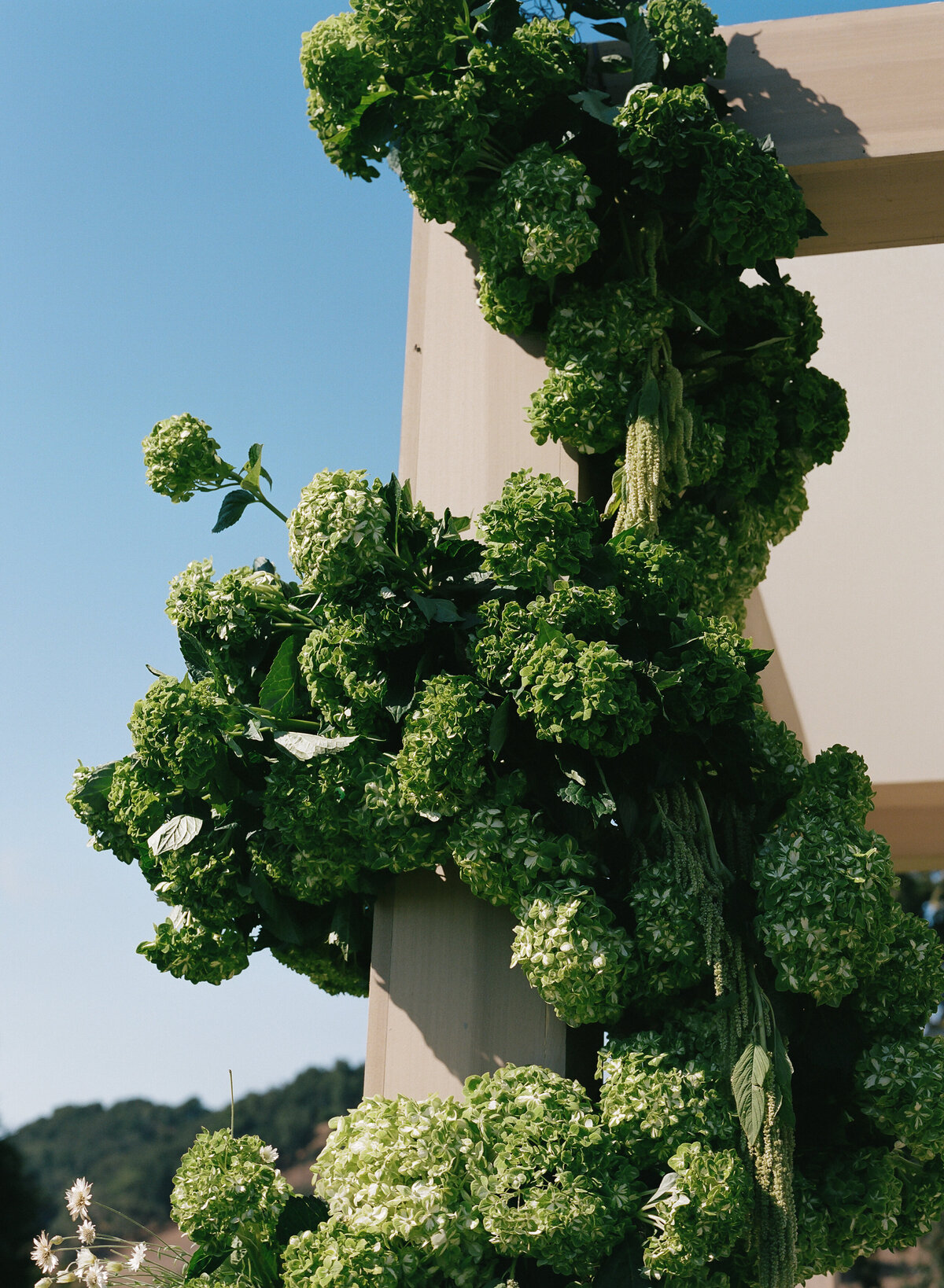 DT-2025-Kelcie&StevenPreview-101