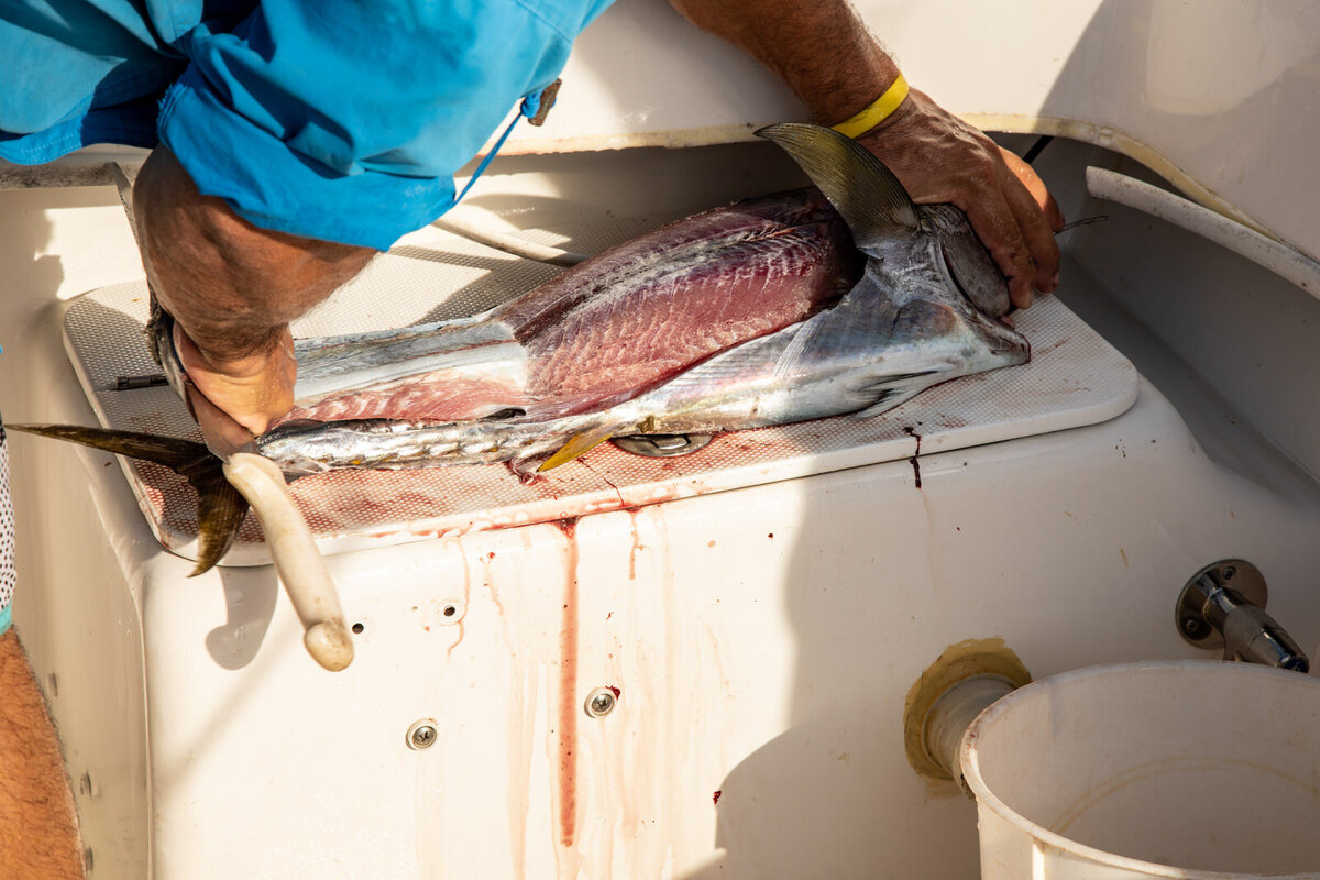 Deep sea fishing in Tamarindo, Costa Rica.