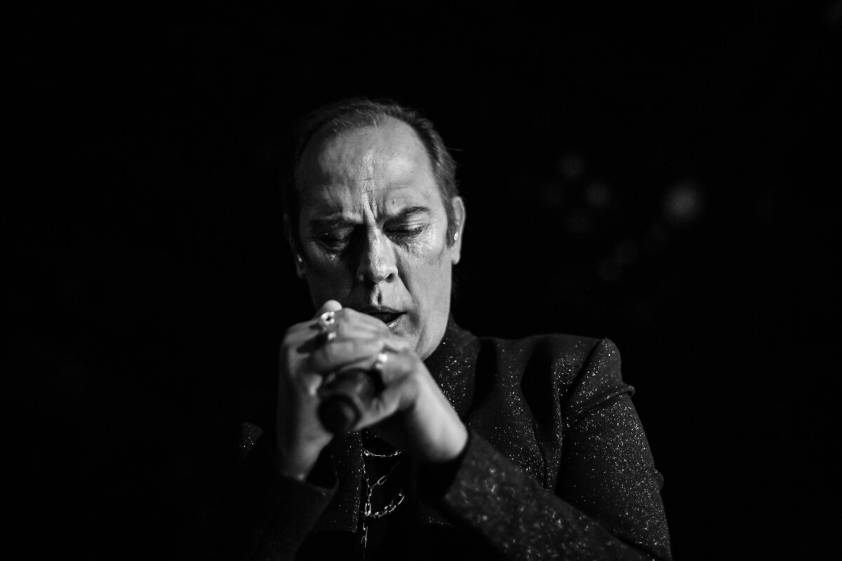 027-Peter-Murphy-Bauhaus-Palladium-3