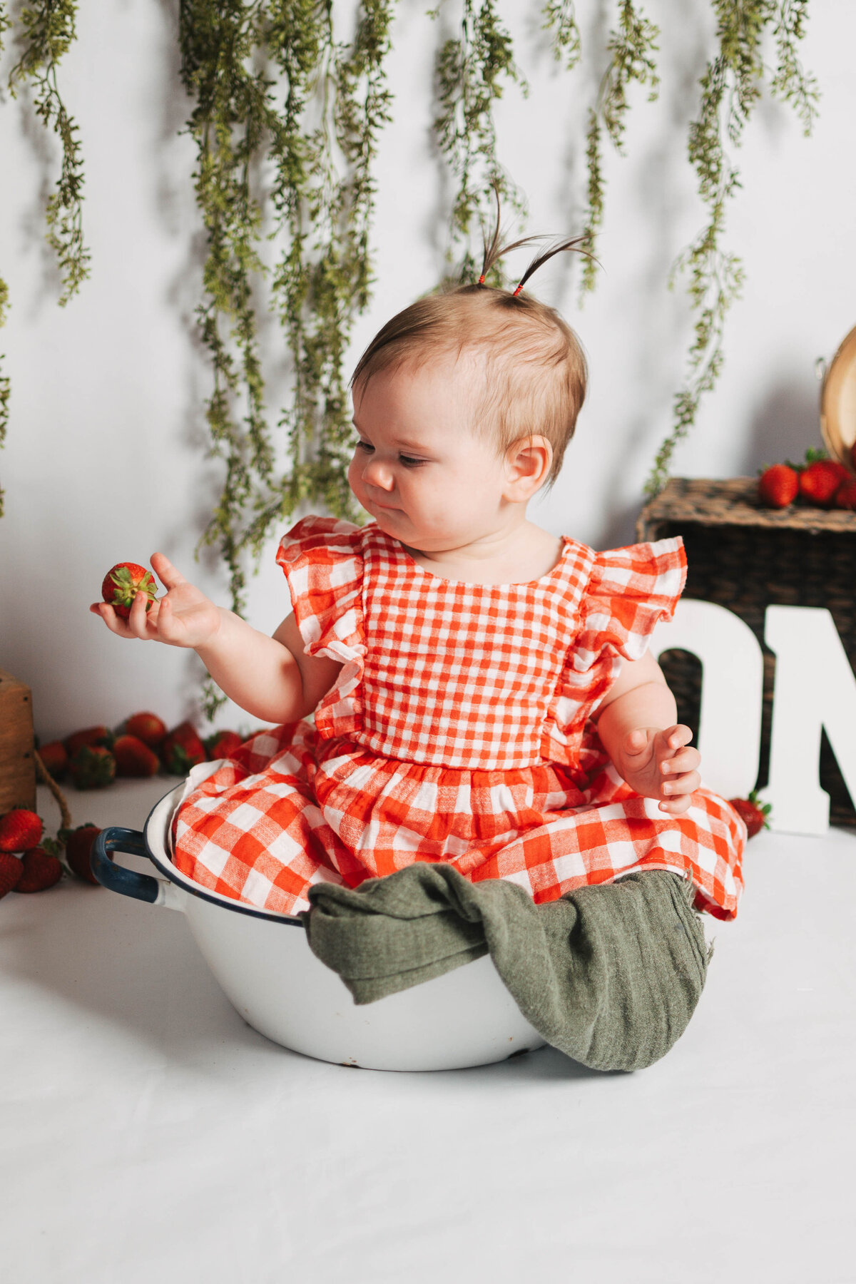 Taylor Elizabeth Photography Weddings and Lifetyle Photographer in Indiana Maternity + Family Photo 1