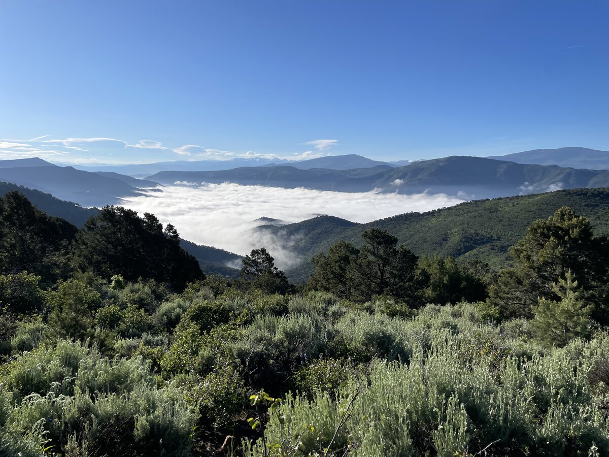 A breathtaking landscape of hills covered in green shrubbery with a blanket of clouds settled in the valley below under a clear blue sky.