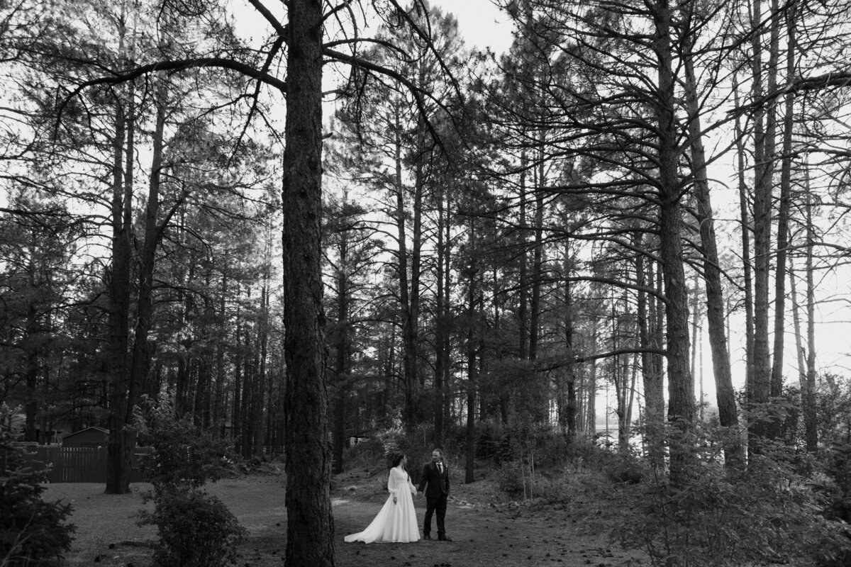 Desert Born Studios - Flagstaff- Elopement-50