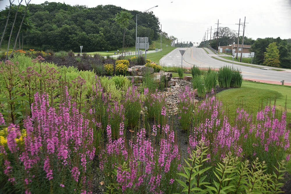 Commercial landscape company project in Kansas City