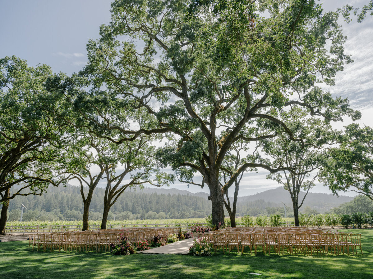 napa-documentary-best-photographer-wedding-dejauregui-photography-127