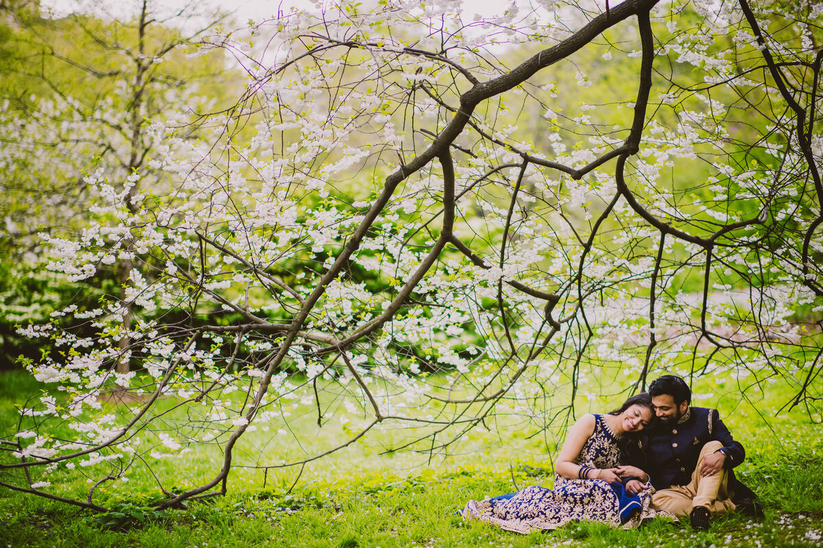 A couple sitting on the grass under a cherry blossom tree at central park 