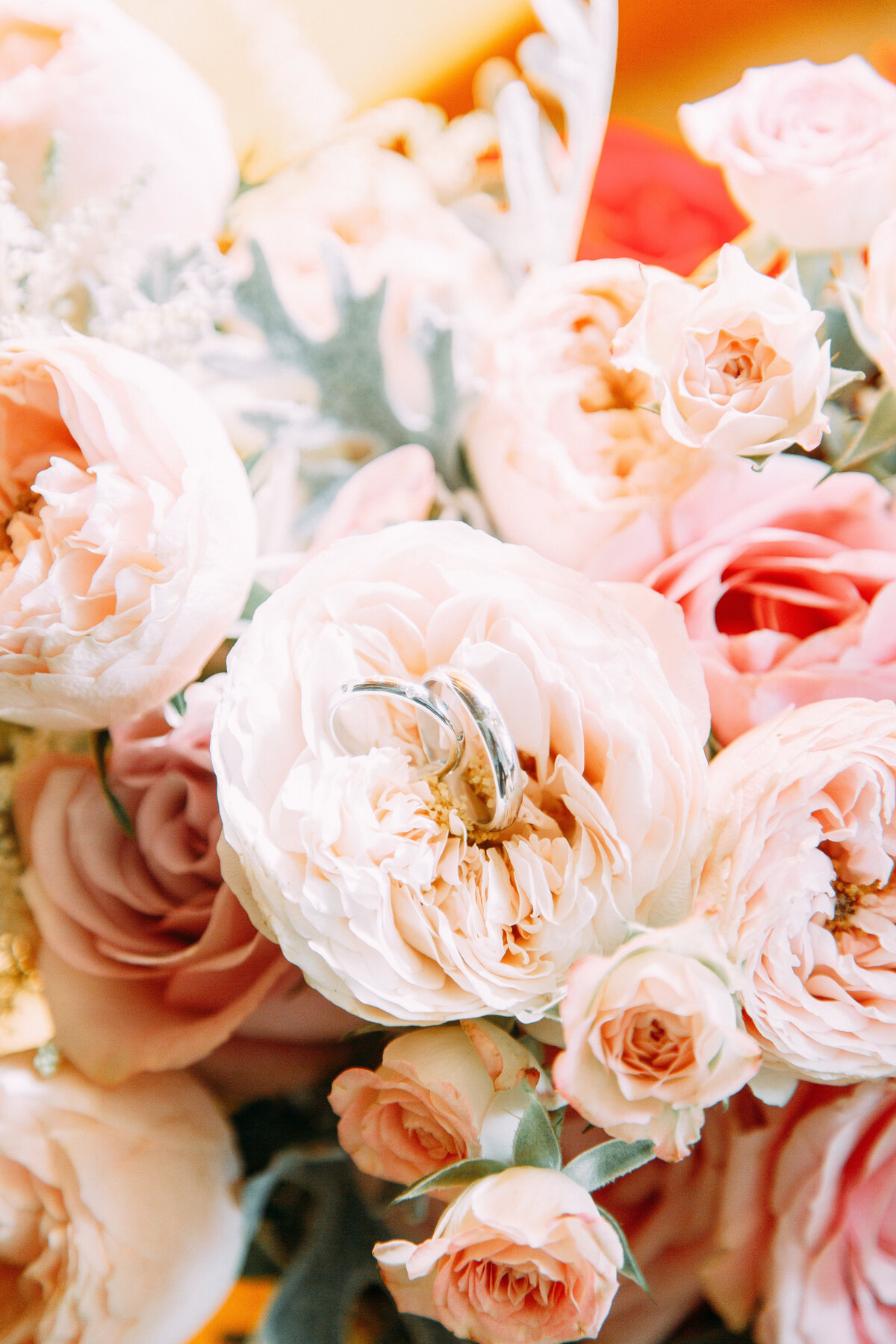 AdobeStock_244145880