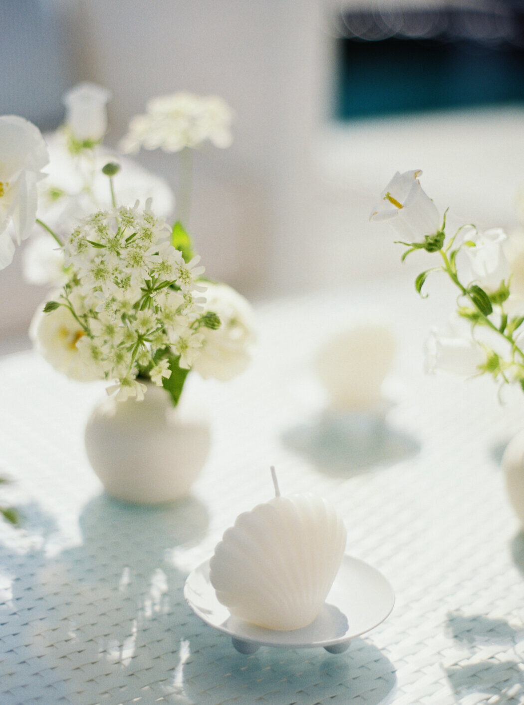 2024-marthas-vineyard-wedding-web-8