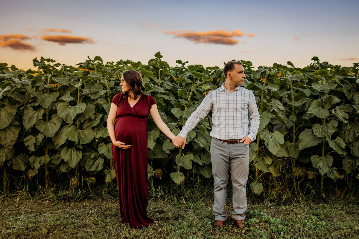 Epic modern maternity sunflower patch picture